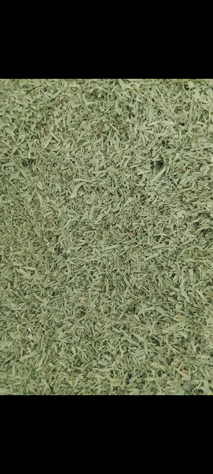 Close-up of natural dried tarragon leaves texture